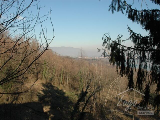 Am Comabbio See Nähe Varese grosses Rustico mit See-Sicht und einem sehr grossen Grundstück