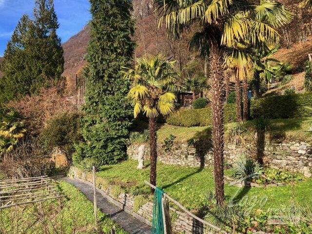 Aurigeno Tessiner Haus mit grossem Garten und separatem Rustico