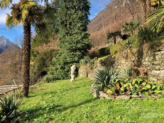 Aurigeno Tessiner Haus mit grossem Garten und separatem Rustico