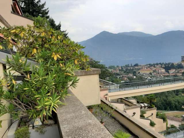 Cannobio renovierte Wohnung mit herrlichen Blick auf Cannobio und den Lago Maggiore mit grossem Pool