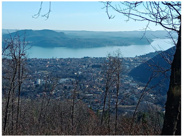 In der Ortschaft Meazzina Lago Maggiore grosses Bauland mit sehr schönen Sicht auf den Lago zu verkaufen.